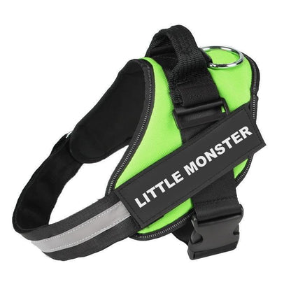 CATALYST CORNER™ - Personalized No Pull Dog Harness