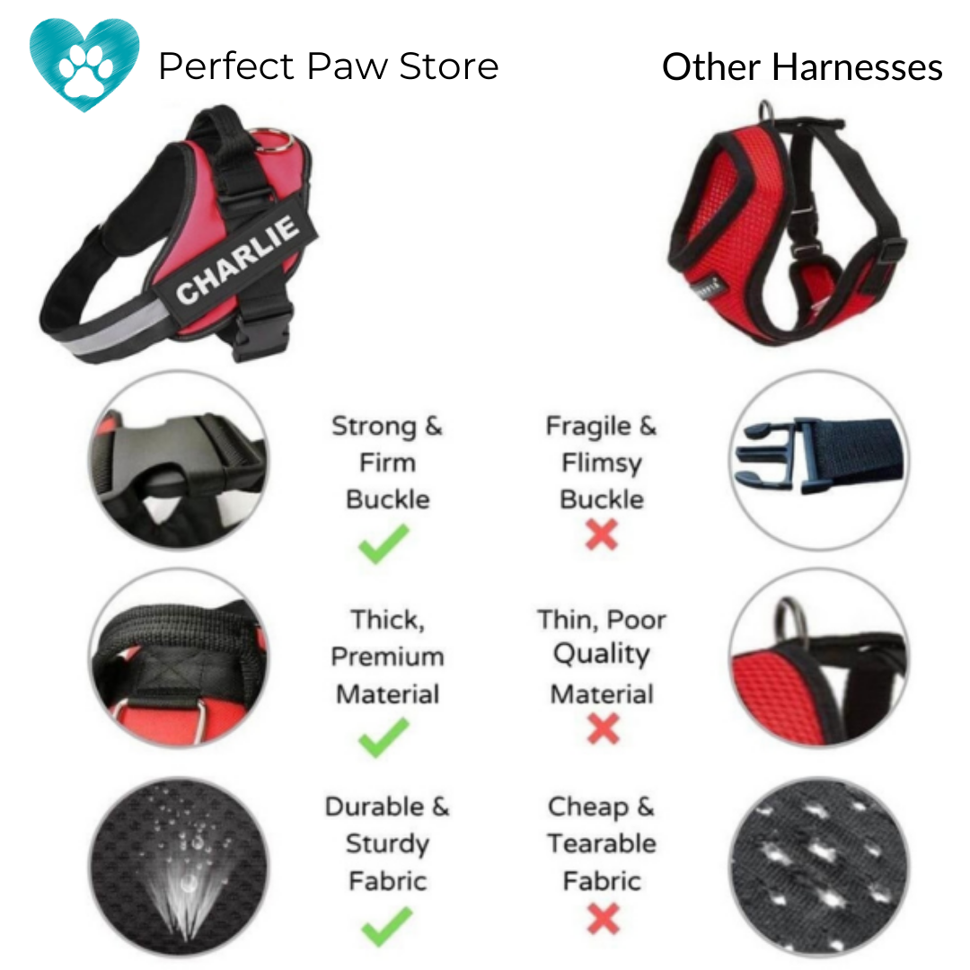 CATALYST CORNER™ - Personalized No Pull Dog Harness