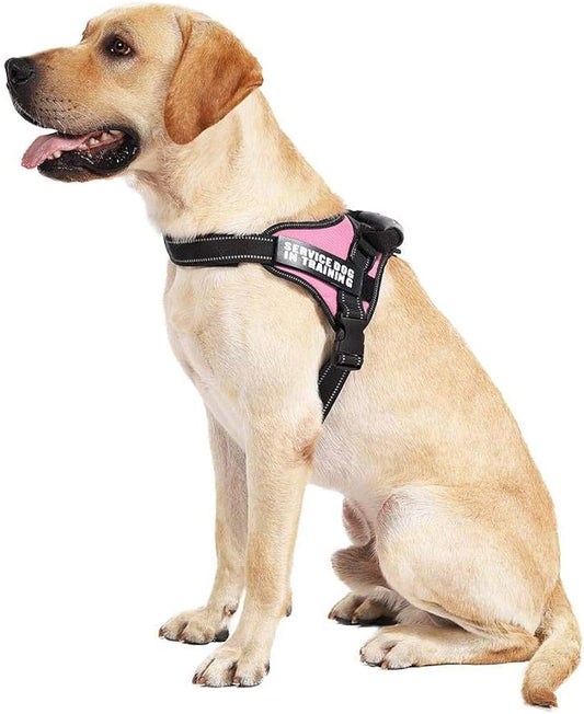 CATALYST CORNER™ - Personalized No Pull Dog Harness