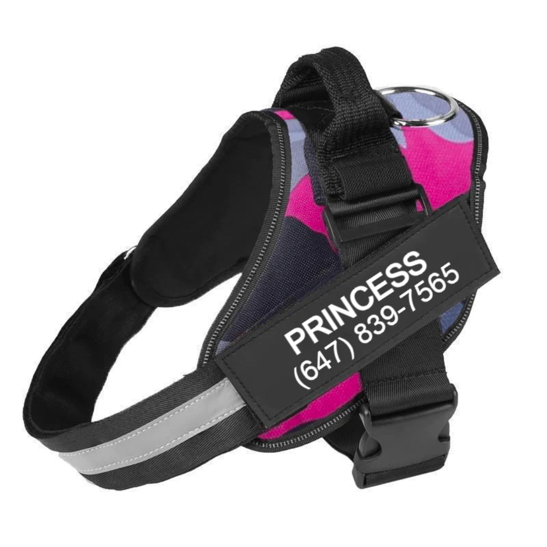 CATALYST CORNER™ - Personalized No Pull Dog Harness