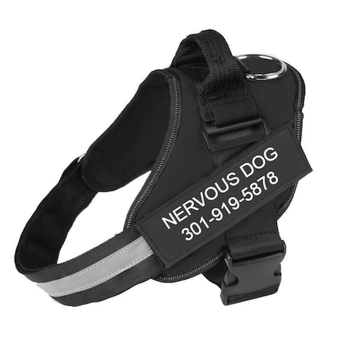 CATALYST CORNER™ - Personalized No Pull Dog Harness