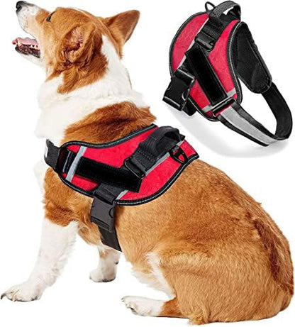 CATALYST CORNER™ - Personalized No Pull Dog Harness