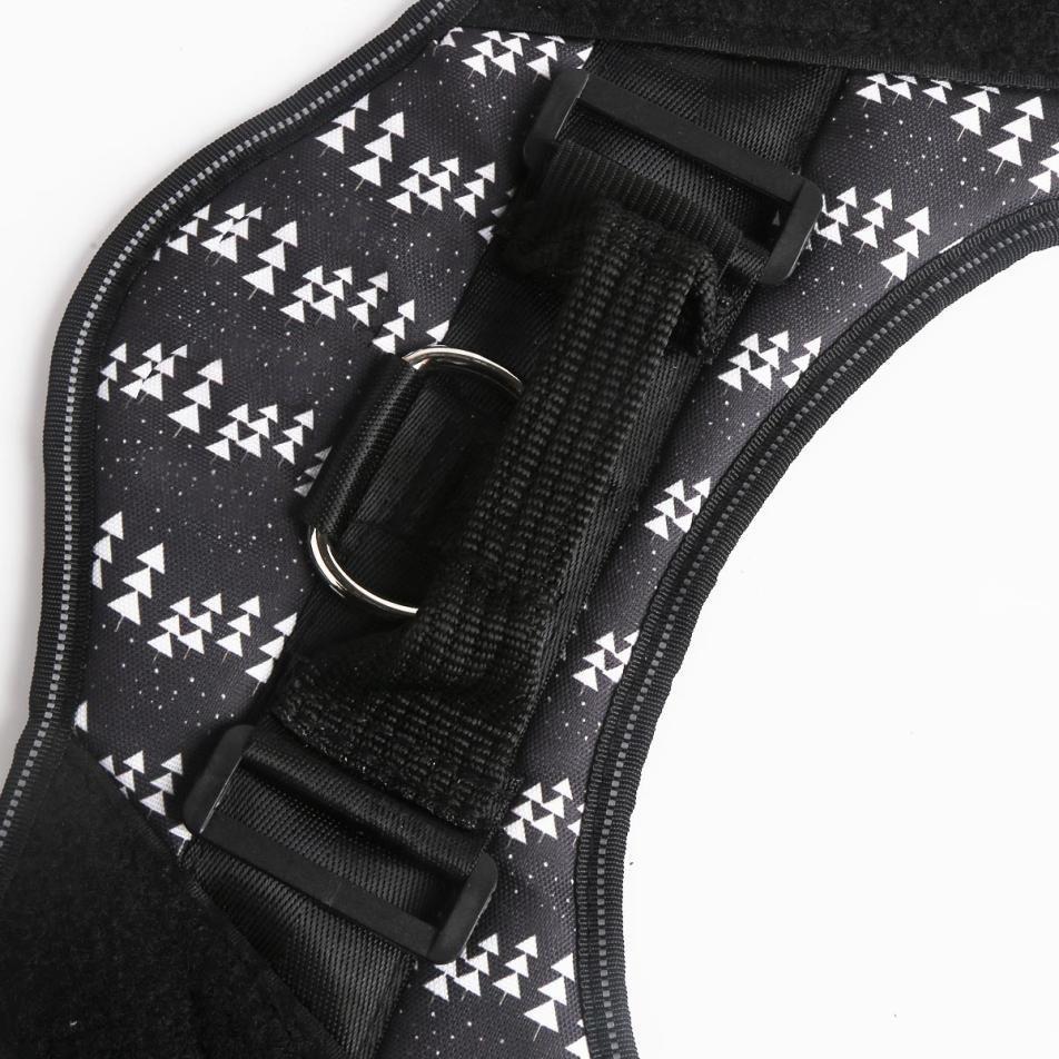 CATALYST CORNER™ - Personalized No Pull Dog Harness